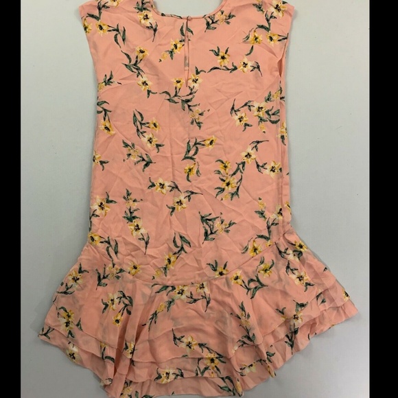 Joie Pink Floral Coreen Short Sleeve Silk Dress - Picture 4 of 4